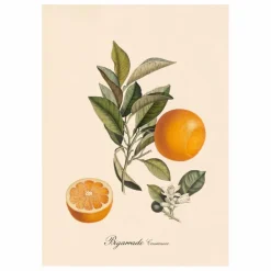 Affiche Bigarrade Couronnée