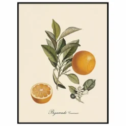 Affiche Bigarrade Couronnée