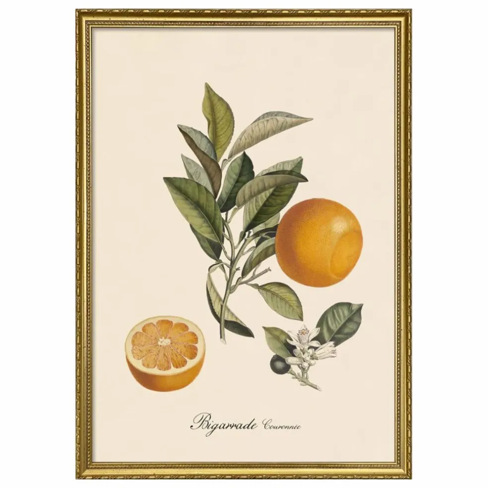 Affiche Bigarrade Couronnée