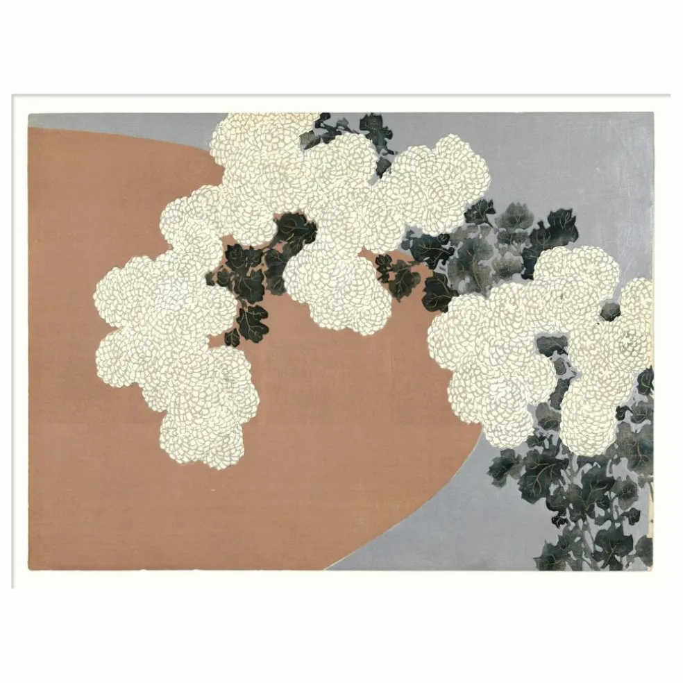 Affiche Chrysantemum