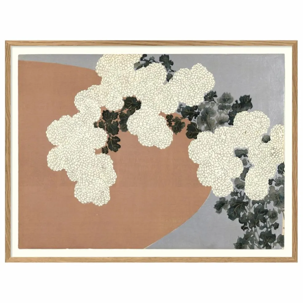 Affiche Chrysantemum