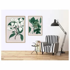 Affiche Cornus Florida