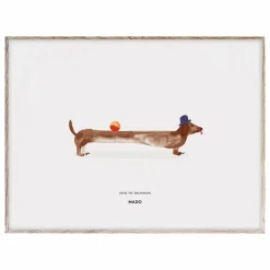 Affiche Doug the Dachshund 40x30 cm