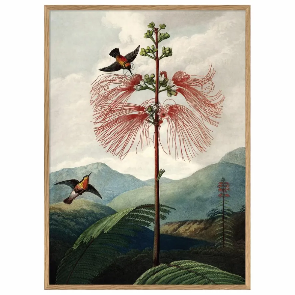 Affiche The Tree of Flowers