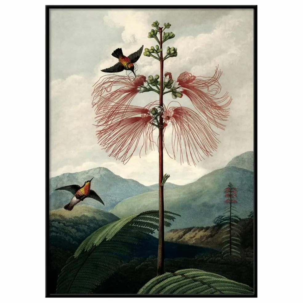 Affiche The Tree of Flowers