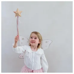 Ailes de Fée Starry Night | Rose