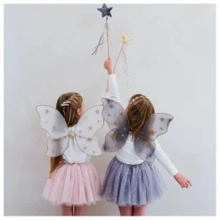 Ailes de Fée Starry Night | Rose