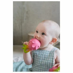 Anneau de dentition Fuscia le fruit du dragon