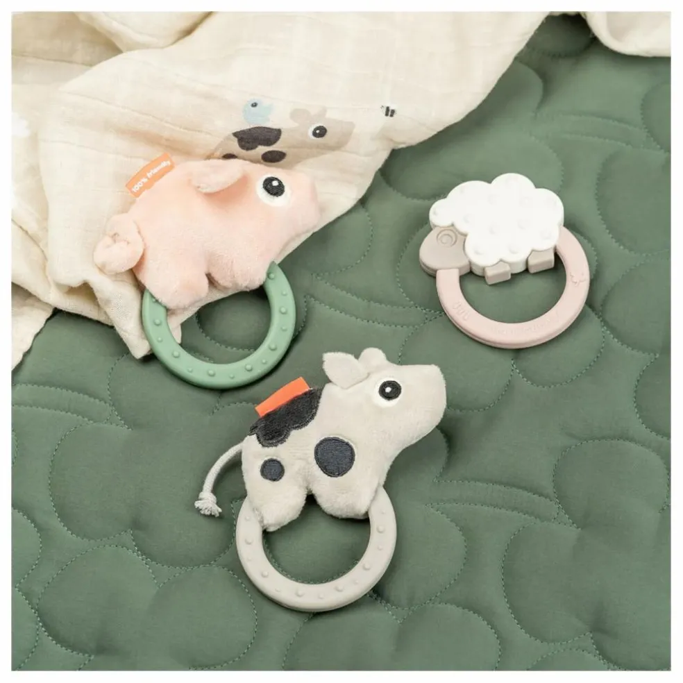 Anneau de dentition Sheepy | Rose