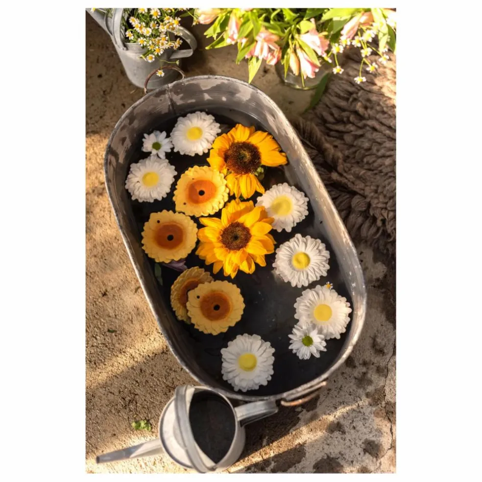 Anneau de dentition Sun le tournesol