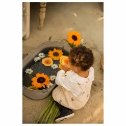 Anneau de dentition Sun le tournesol