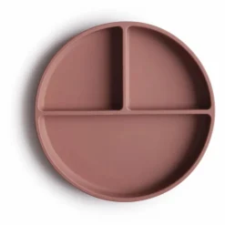 Assiette en silicone | Terracotta
