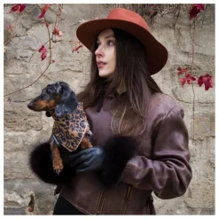 Bandana Chien Léopard | Marron