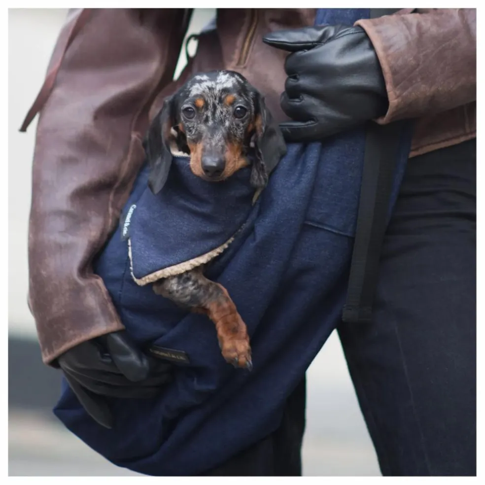 Bandana Denim Chien | Bleu