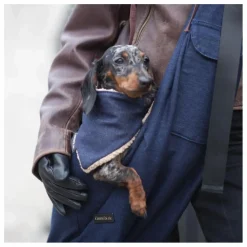 Bandana Denim Chien | Bleu