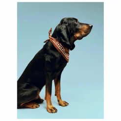 Bandana pour chien | Marron