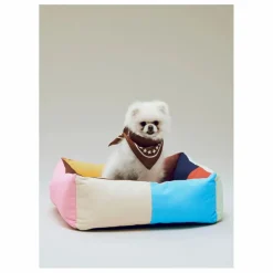 Bandana pour chien | Marron