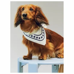 Bandana pour chien | Off-White