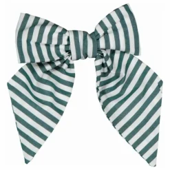 Barrette Carlotta Rayures | Vert