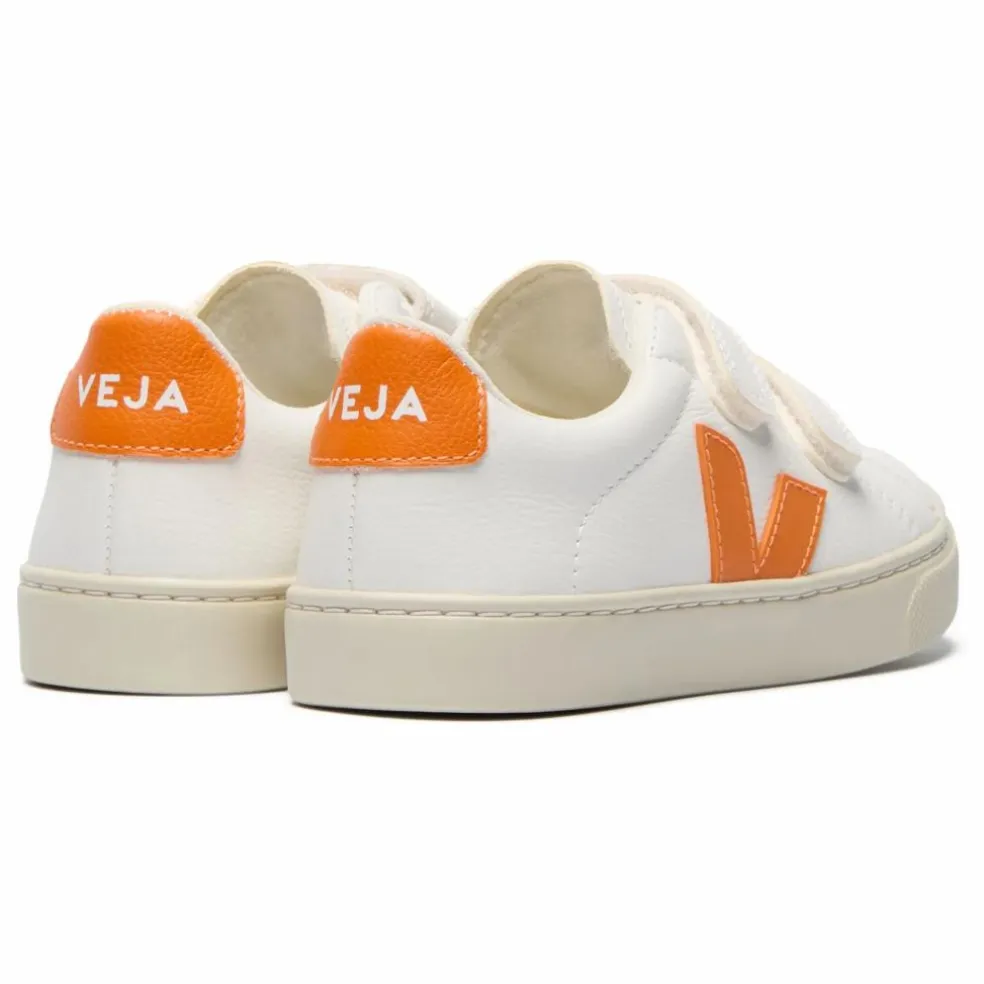 Baskets Scratchs Esplar | Orange