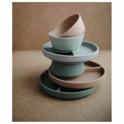 Bol en silicone | Blush