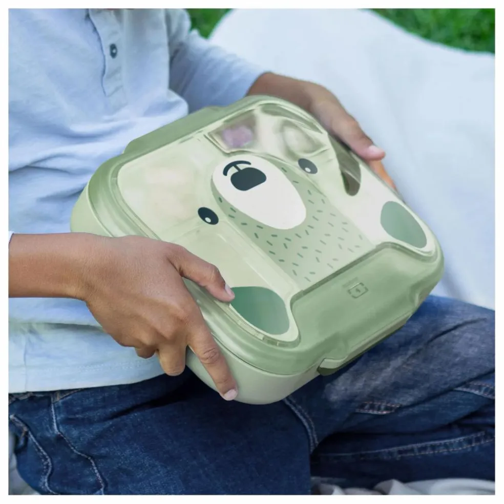 Boîte à goûter MB Wonder Ours | Vert