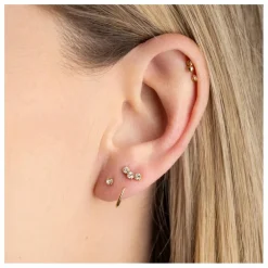 Boucles d'Oreilles Gaston | Champagne