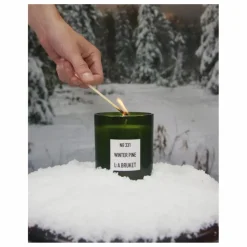 Bougie Winter Pine 331 - Edition Limitée - 260g