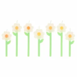 Bougies Marguerite - set de 6