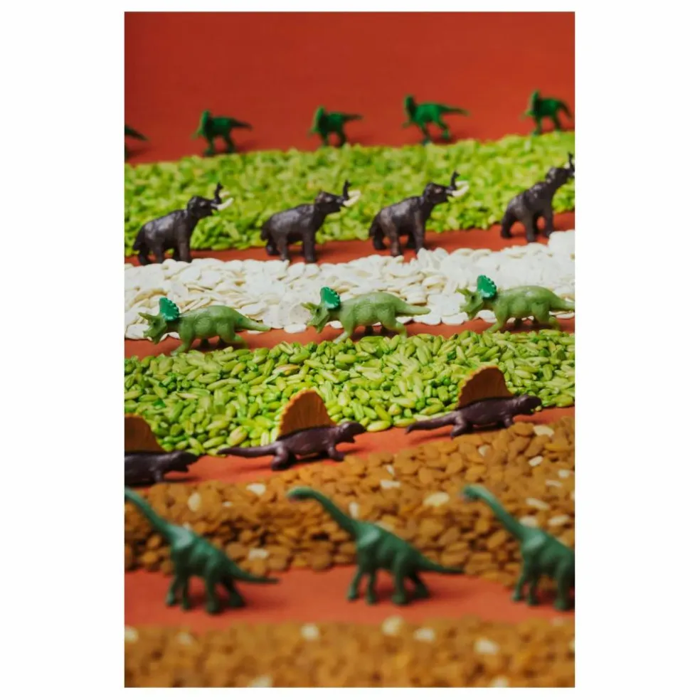 Bouteille sensorielle Jurassic | Marron