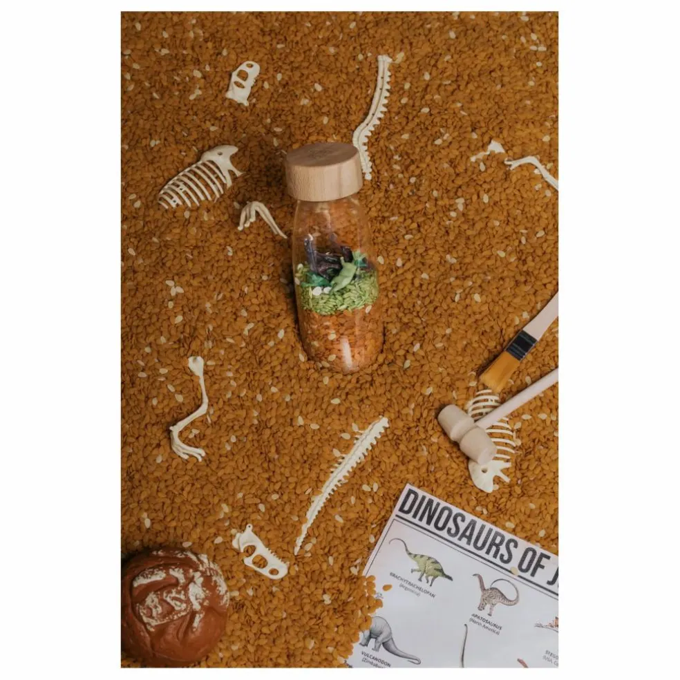 Bouteille sensorielle Jurassic | Marron