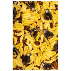 Bouteille sensorielle Singe