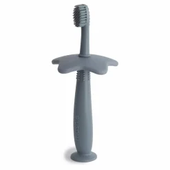 Brosse à dents | Bleu