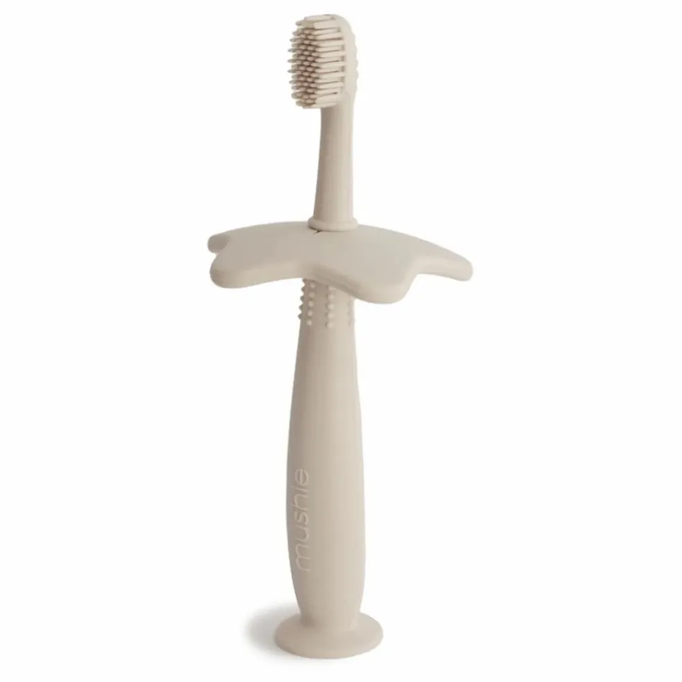 Brosse à dents | Ivoire