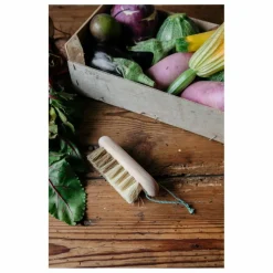 Brosse à légumes en hêtre