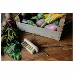 Brosse à légumes en hêtre