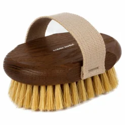 Brosse de massage pour brossage à sec