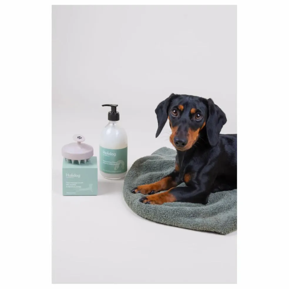 Brosse de massage pour chien Holidog