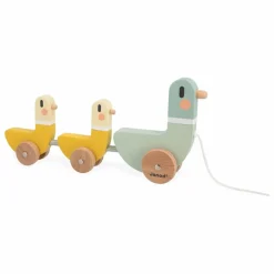 Canards à Tirer