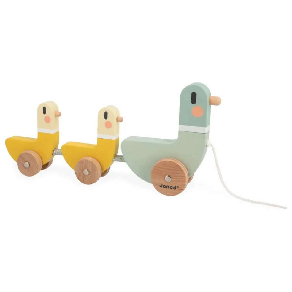 Canards à Tirer