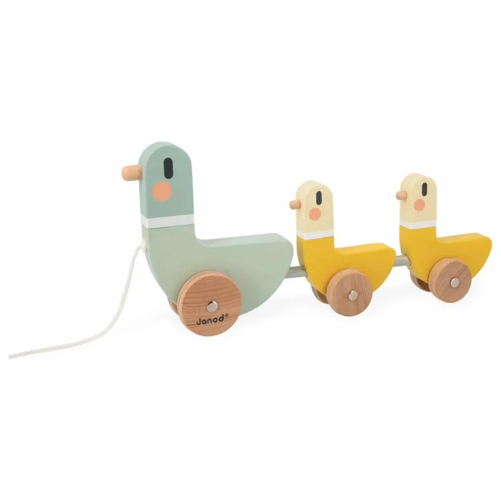 Canards à Tirer