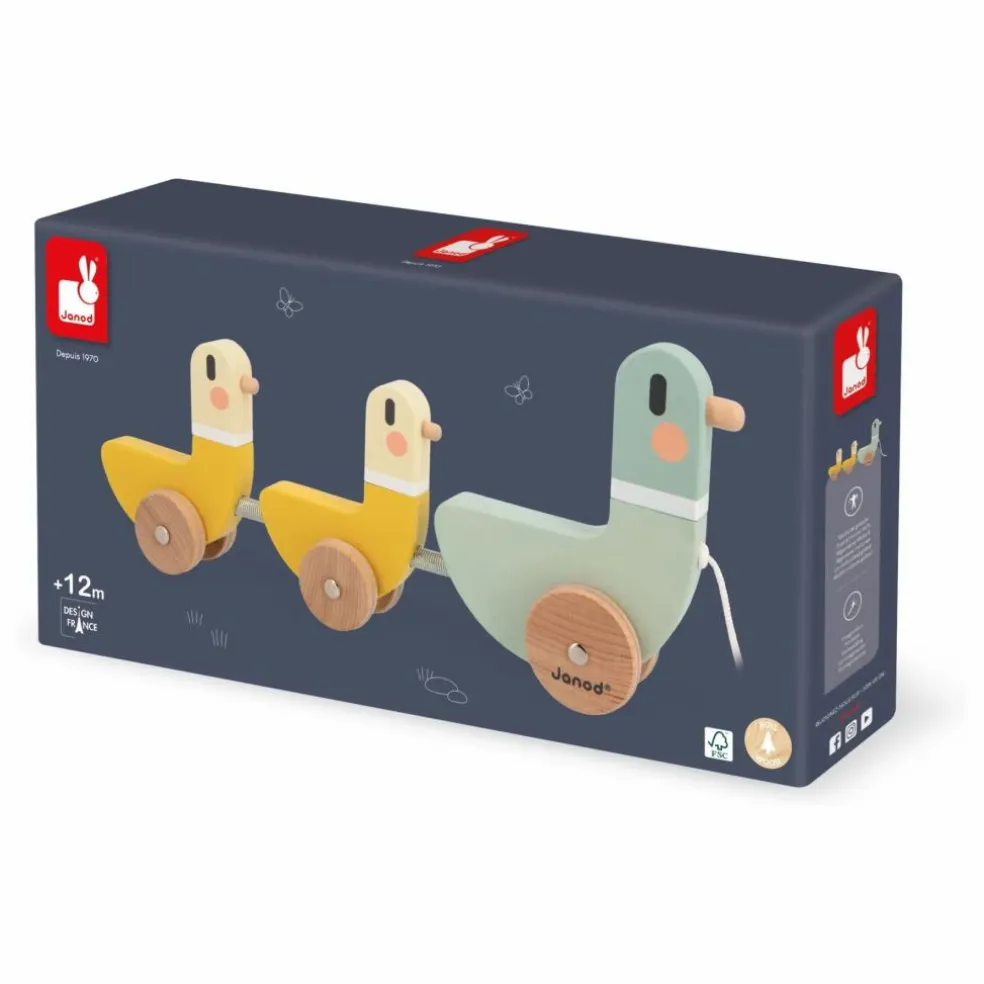 Canards à Tirer