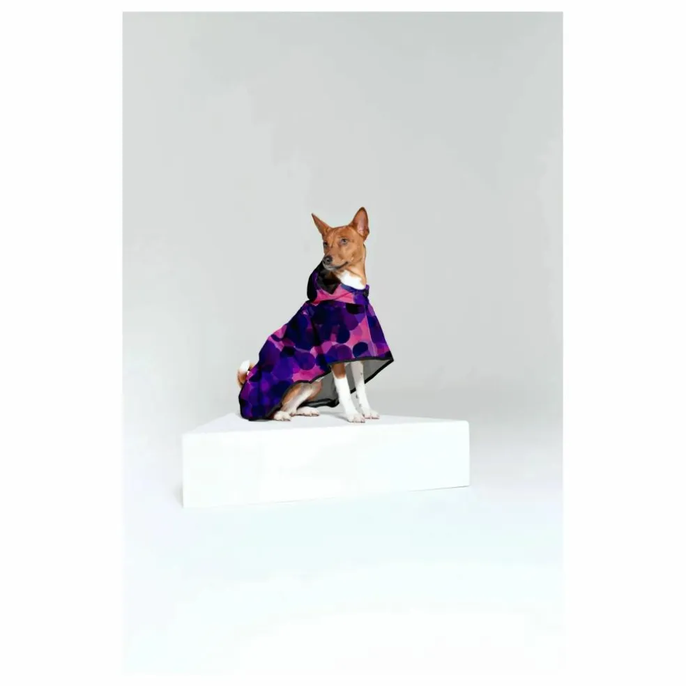 Cape pour Chien Imperméable City Lights | Violet