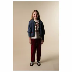 Cardigan Austrian | Bleu gris