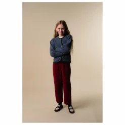 Cardigan Austrian | Bleu gris