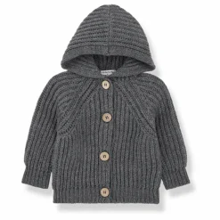 Cardigan en Laine à Capuche Aniol | Gris
