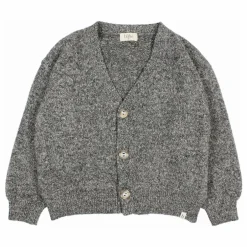 Cardigan Fibres Recyclées | Gris