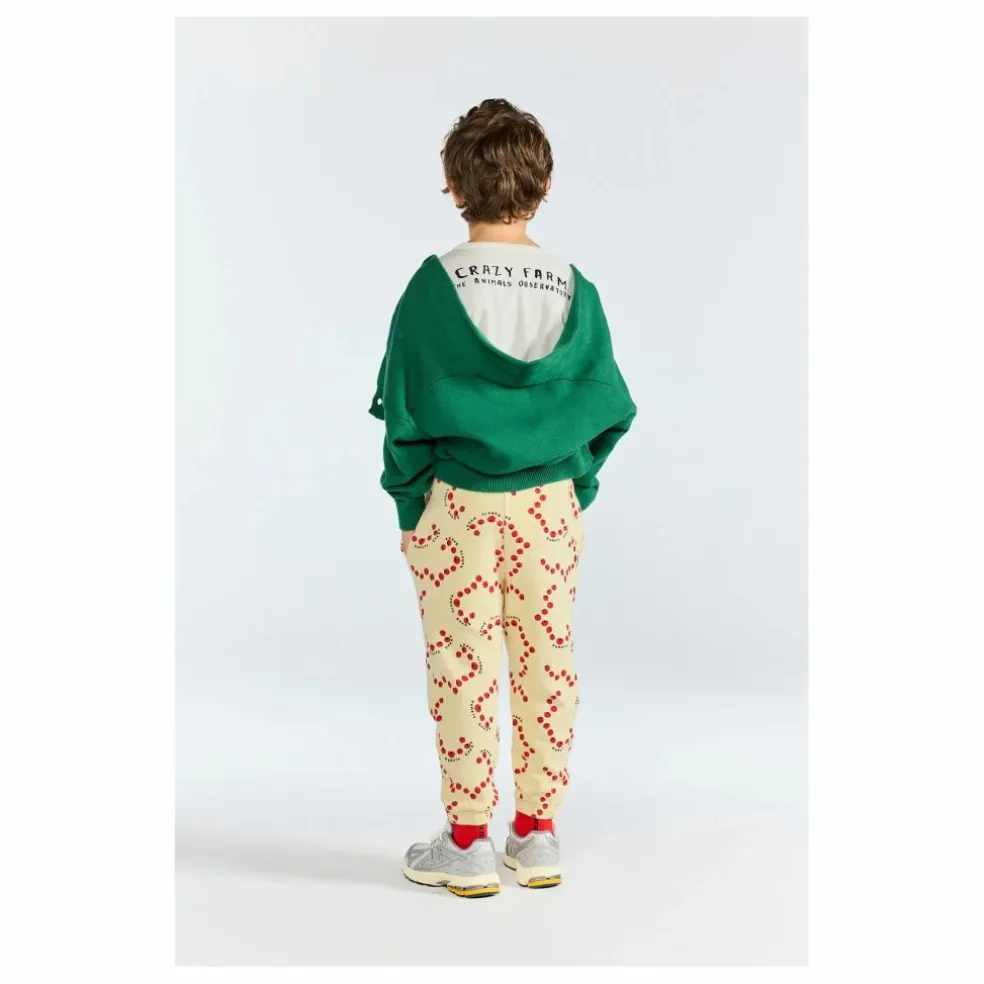 Cardigan Racoon Coton Bio | Vert