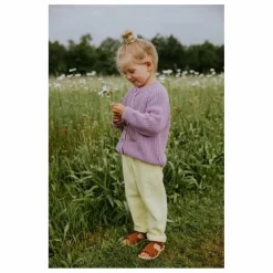 Cardigan Raglan Coton Bio | Parme