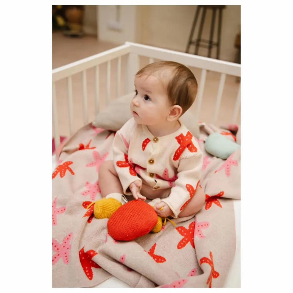Cardigan Starfish Dance Coton Bio | Ecru